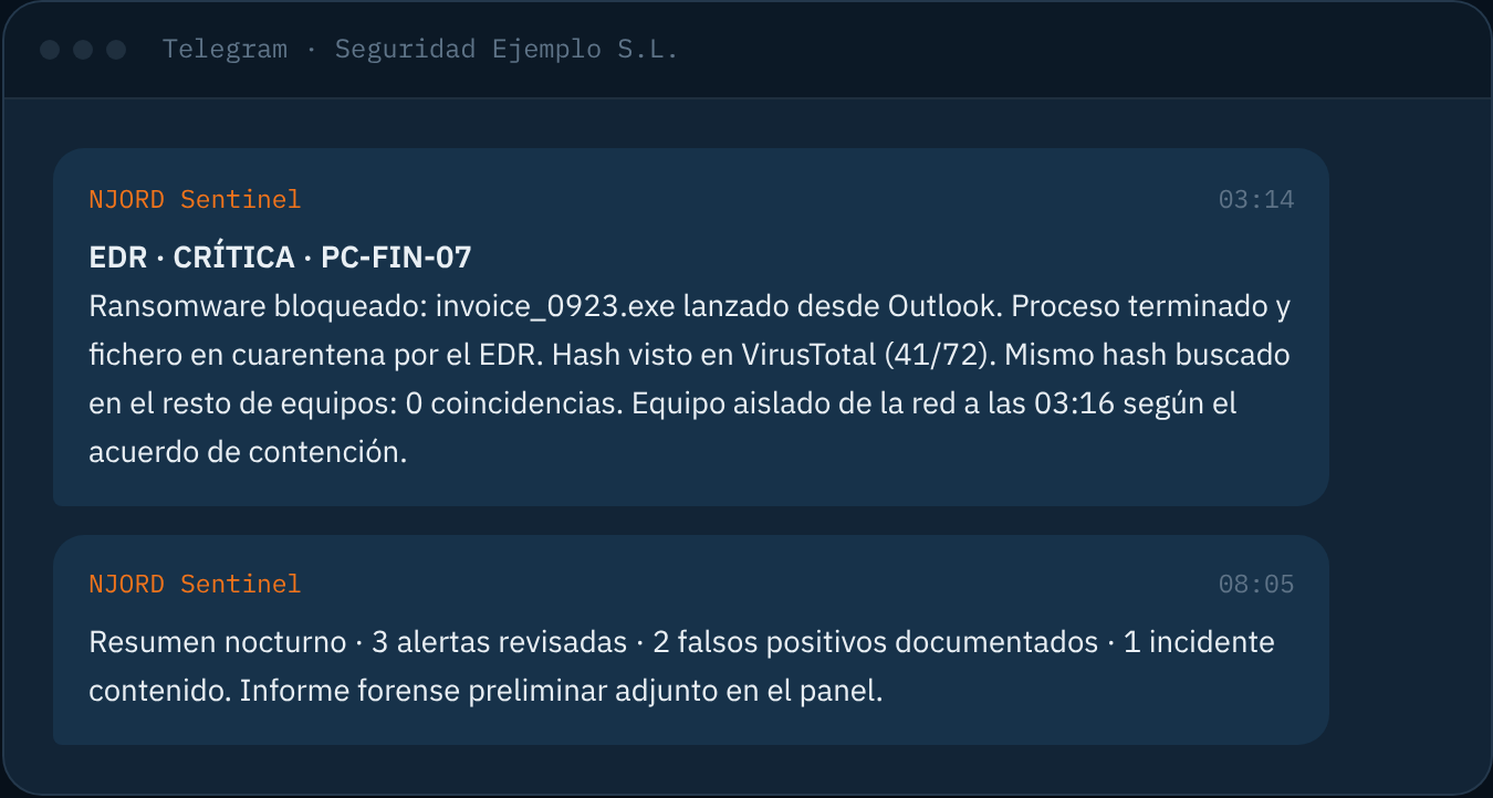 Aviso urgente en Telegram: Lo crítico, a cualquier hora